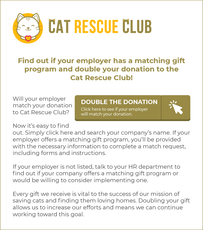 Here's an example of an effective newsletter, another type of matching gift letter.