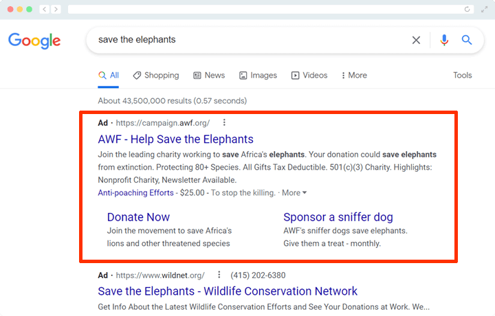An example of a Google Ad for a nonprofit dedicated to wildlife preservation. 