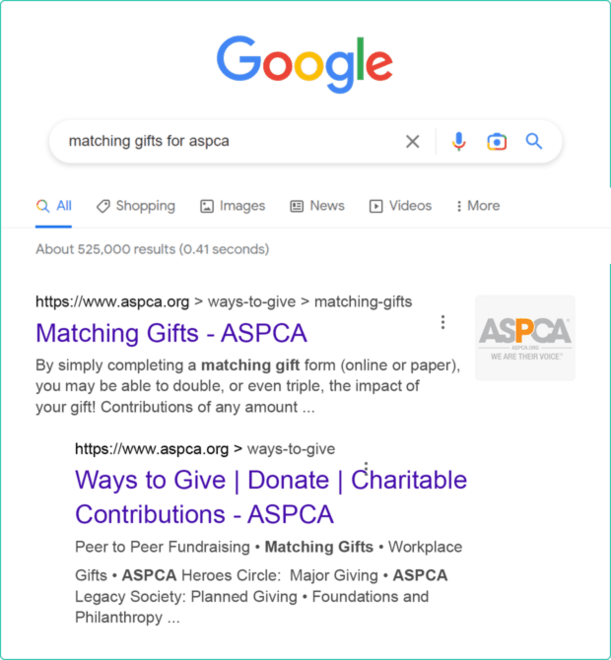 Use Google Ads to promote matching gifts to donors.