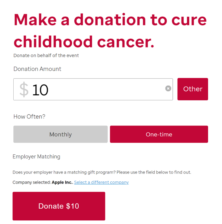 Donation Page Example