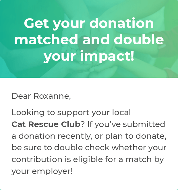 An example matching gifts reminder email to a donor.