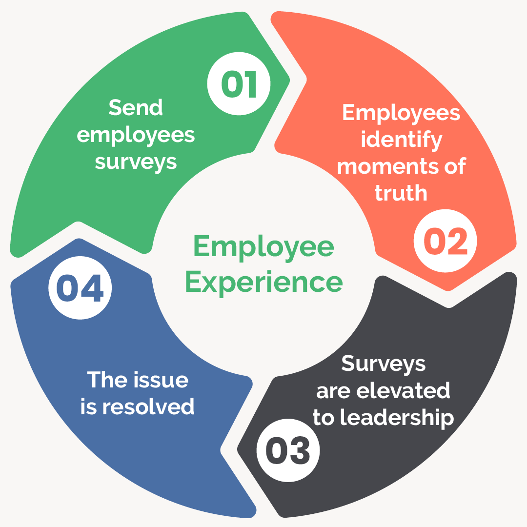 The image depicts how the cycle of employee experience, detailed below.