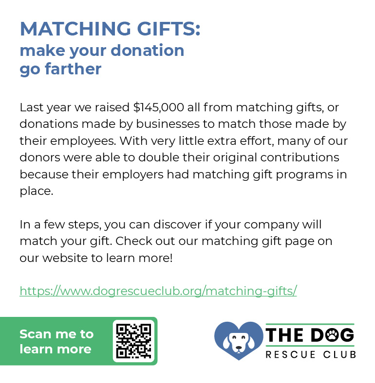 An example of a matching gift fundraising appeal that nonprofits can send to their supporters.