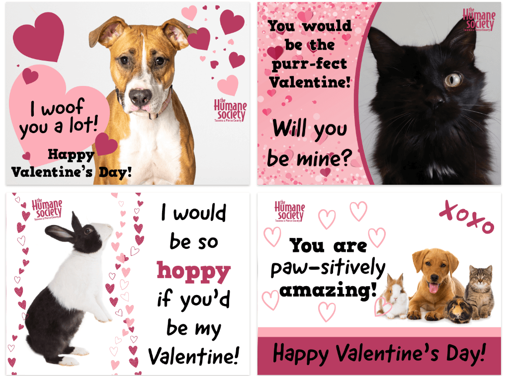 Fundraising eCards offered by the Humane Society for Tacoma & Pierce County