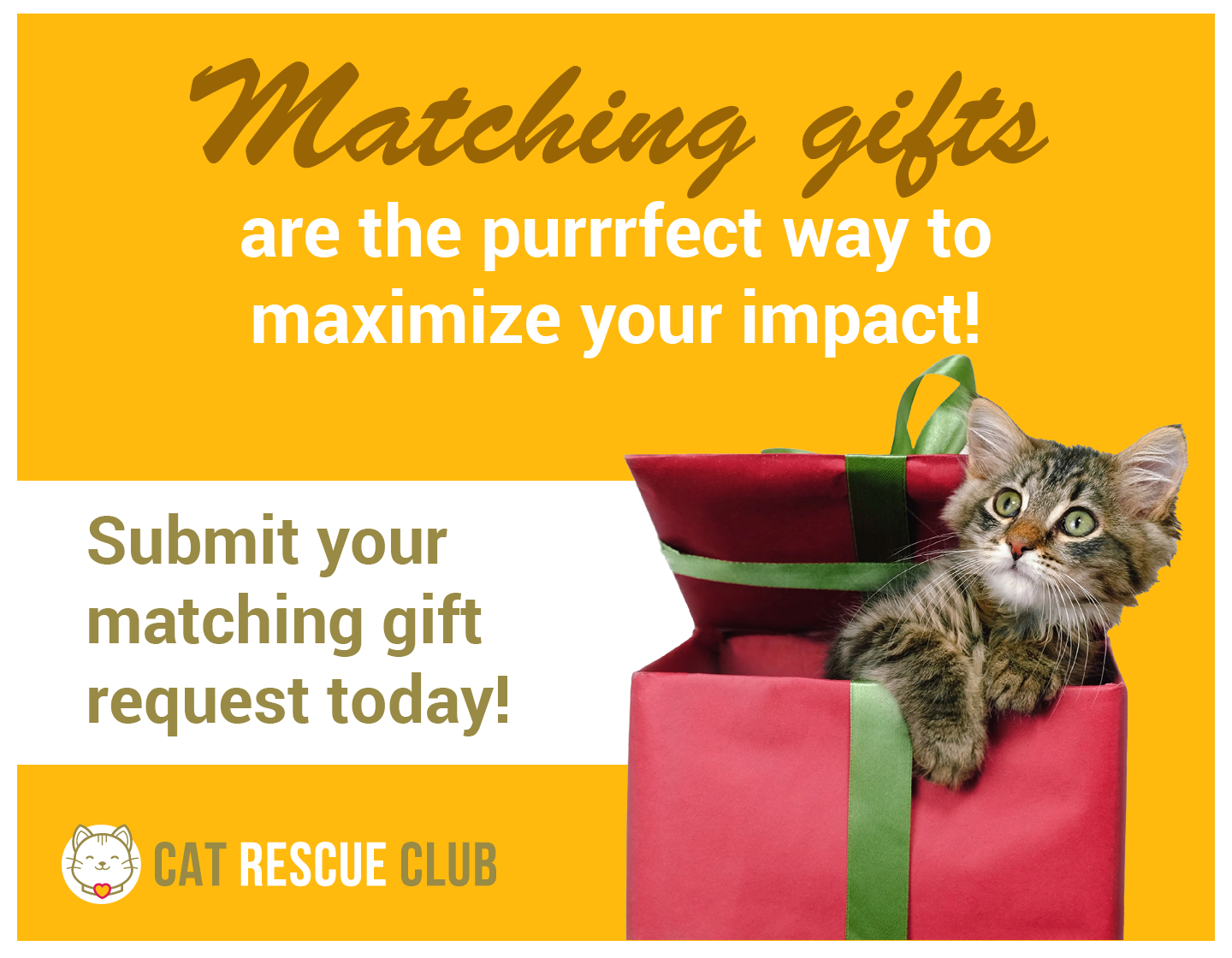 An example fundraising eCard from the fictional nonprofit Cat Rescue Club that is promoting matching gifts