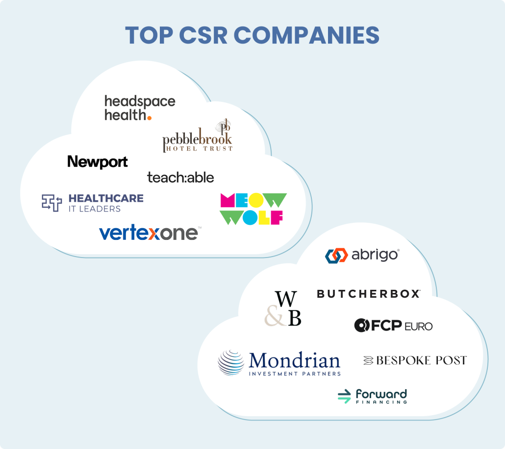 Top CSR companies - examples