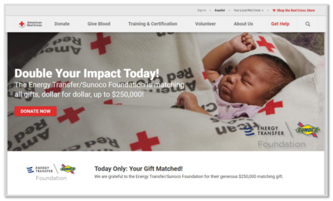 American Red Cross offers successful matching challenge examples.