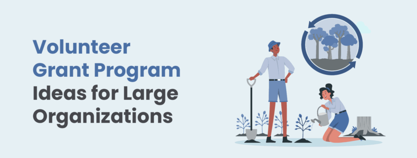 Volunteer Grant Program Ideas for Large Organizations