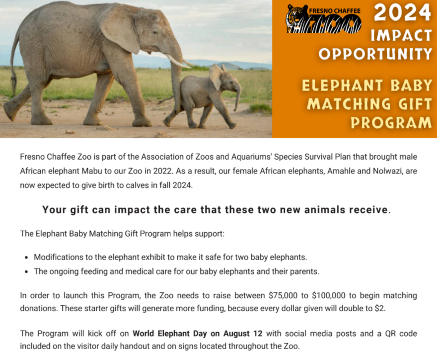 Fresno Chaffee launched a challenge match aligned with World Elephant Day.